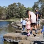 Discover the Beauty: Nature Walks