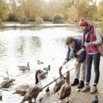 Delightful Duck Feeding Experience